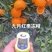 【诚信商家】纽荷尔脐橙九月红果冻橙长虹橙欢迎实地看货