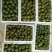 精品草莓西红柿