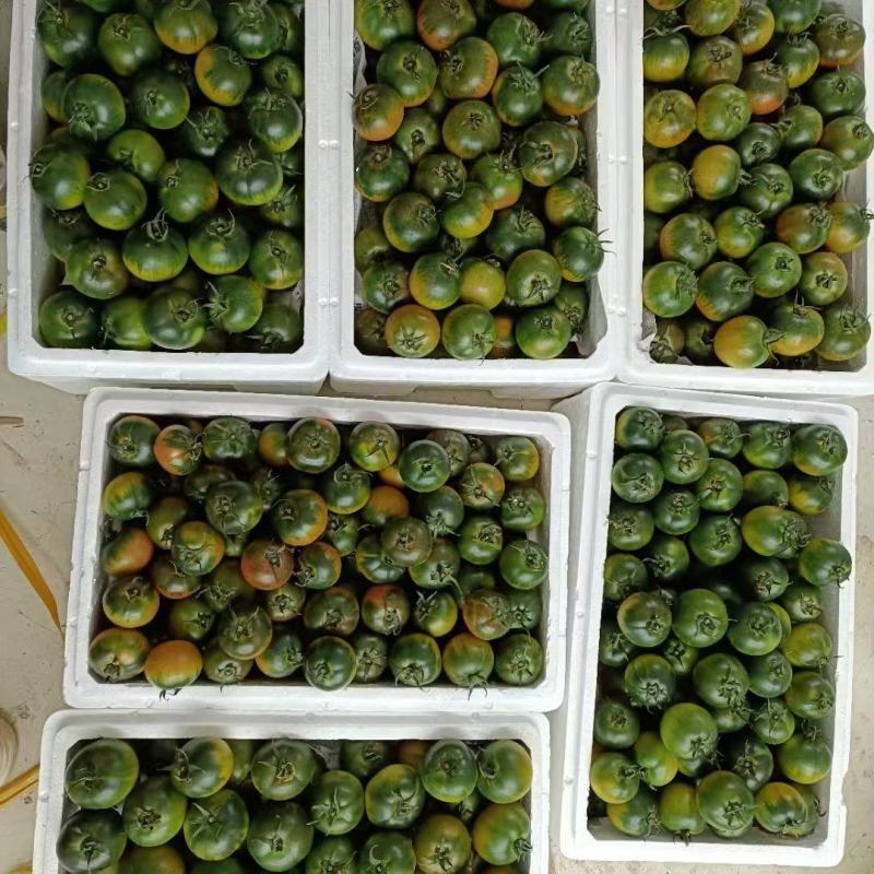 精品草莓西红柿