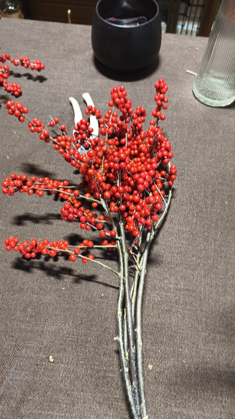 北美冬青年宵插花喜迎新春花卉绿植