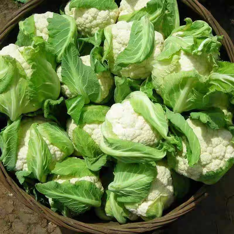 花菜实菜花石菜花产地看货论价支持打款发货