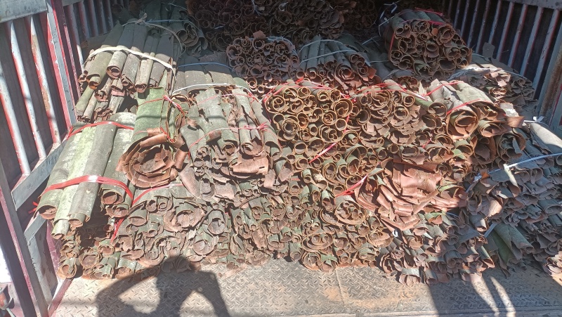 桂皮碎桂碎肉桂香料调料调味品桂皮碎桂碎肉桂香料调料