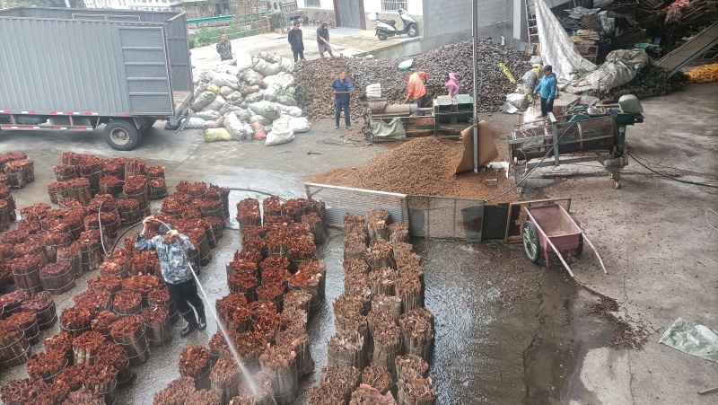 桂皮碎桂碎肉桂香料调料调味品桂皮碎桂碎肉桂香料调料