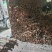 桂皮碎桂碎肉桂香料调料调味品桂皮碎桂碎肉桂香料调料