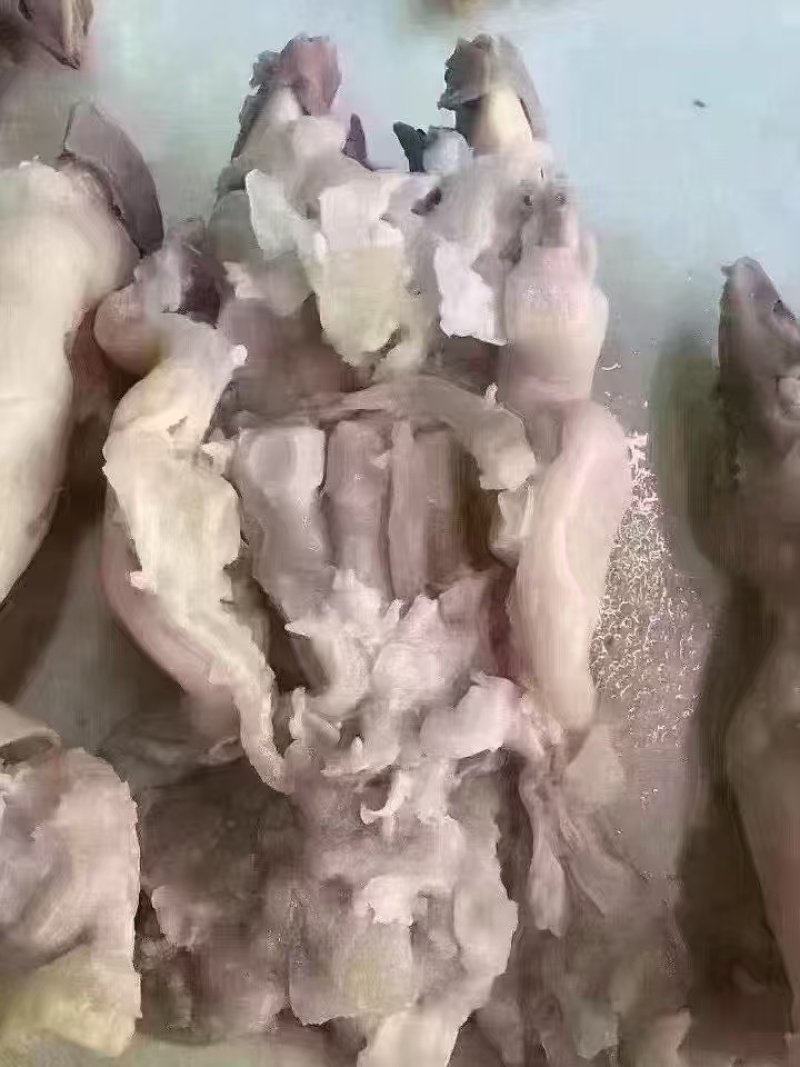 牛蹄熟牛蹄去骨牛蹄全熟牛蹄