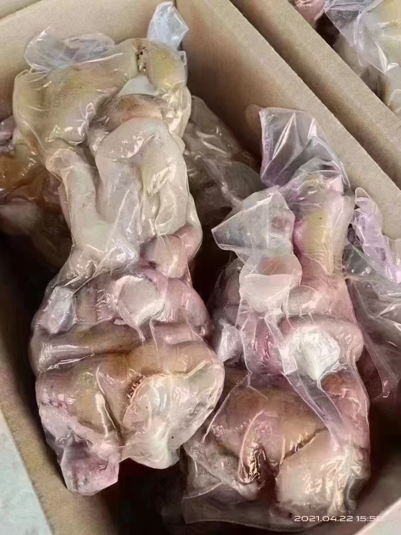 牛蹄熟牛蹄去骨牛蹄全熟牛蹄