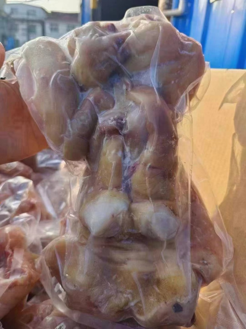 牛蹄熟牛蹄去骨牛蹄全熟牛蹄