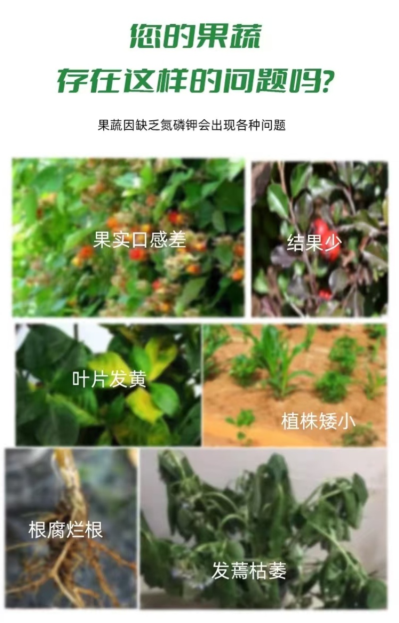 海藻鱼蛋白，生根壮苗，保花保果，改良土壤，提质增产