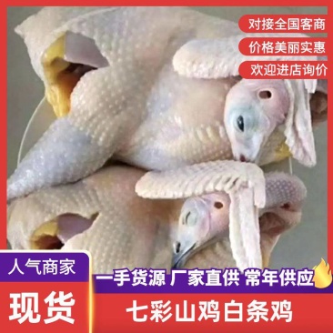 白条鸡整只/山东养殖户/常年稳定