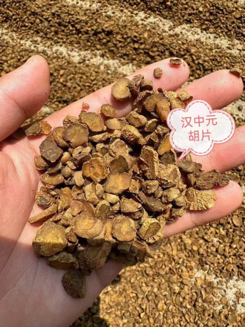 陕西汉中元胡个子元胡片常年现货供应醋治元胡