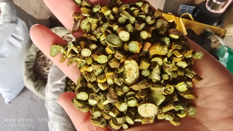 槲寄生东北干货2斤起包邮各种规格选货量大从优