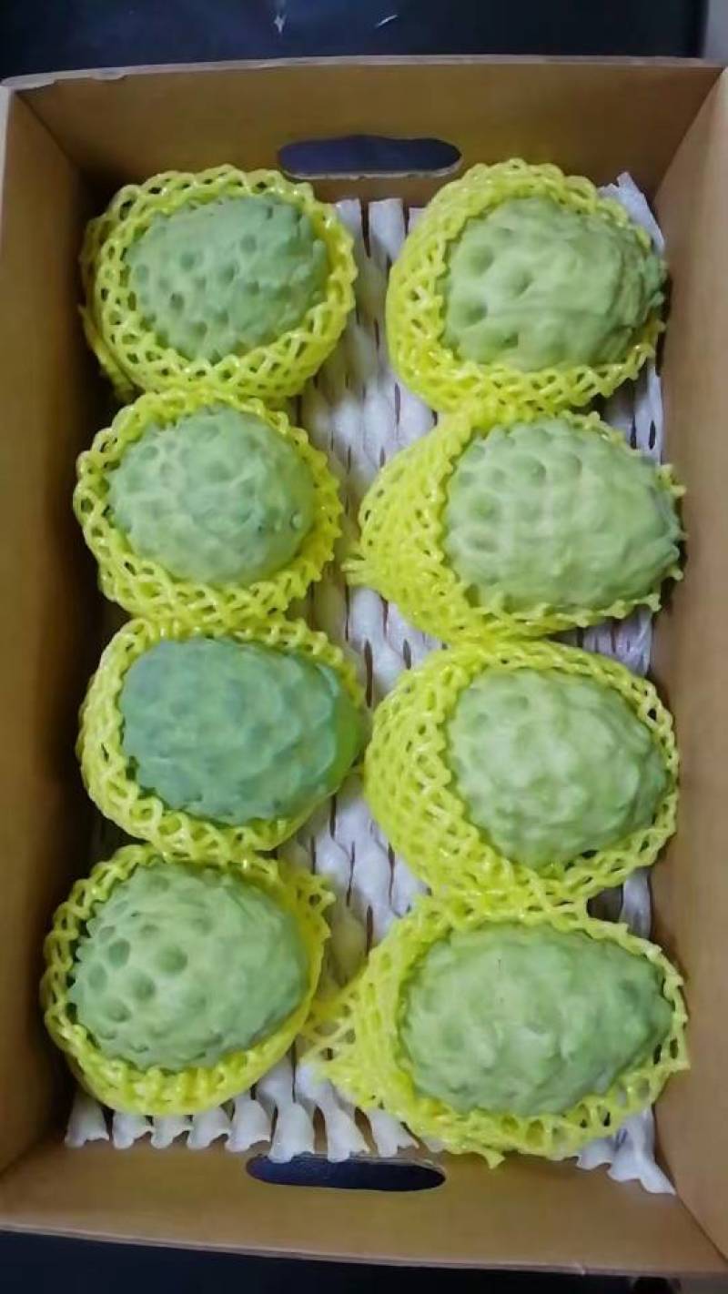 新鲜释迦，健康美味，**特惠！
