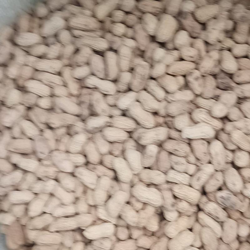 炒熟原味花生产地直销，欢迎新老顾客合作共赢！