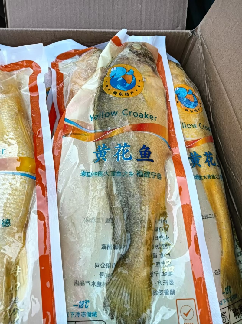 黄花鱼