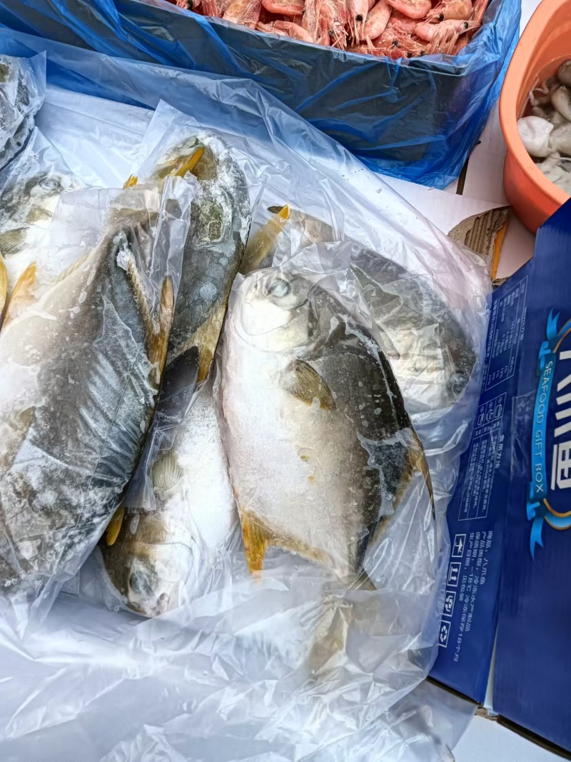 金鲳鱼