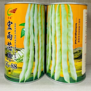 宏雨芯片架豆种子白荚长芸豆种籽高产四季豆种子农家春秋蔬菜