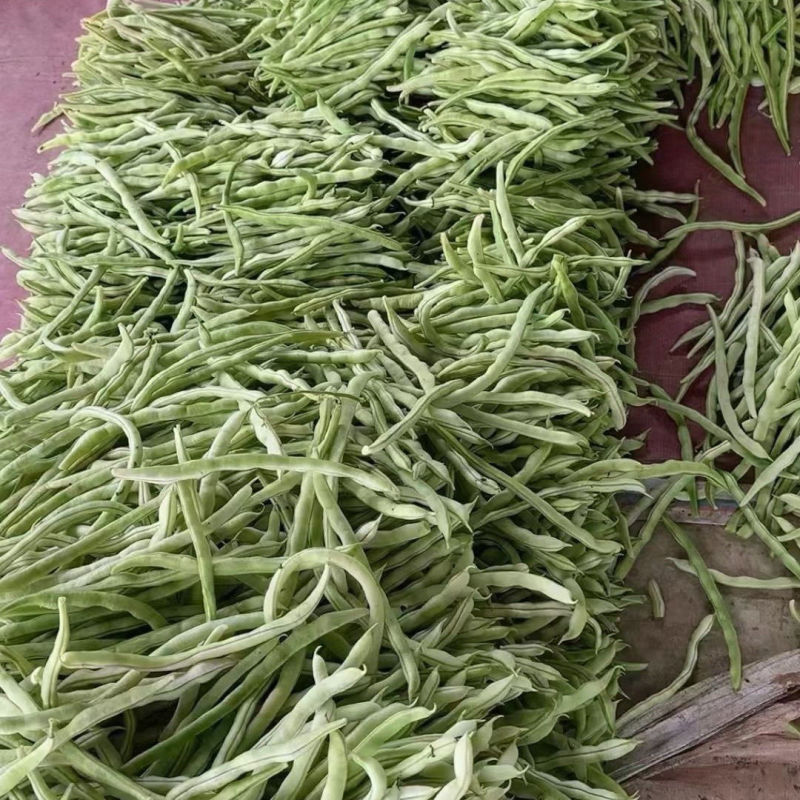 宏雨芯片架豆种子白荚长芸豆种籽高产四季豆种子农家春秋蔬菜