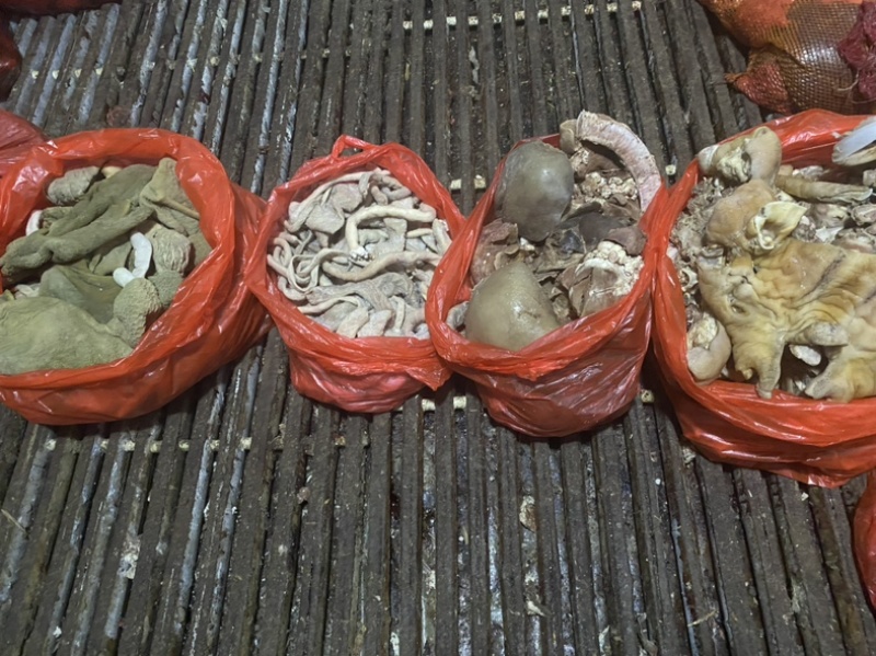 羊杂