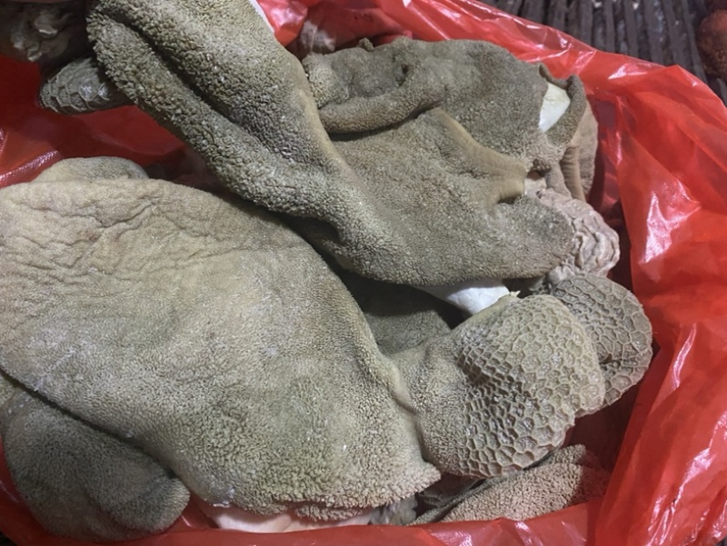 羊杂