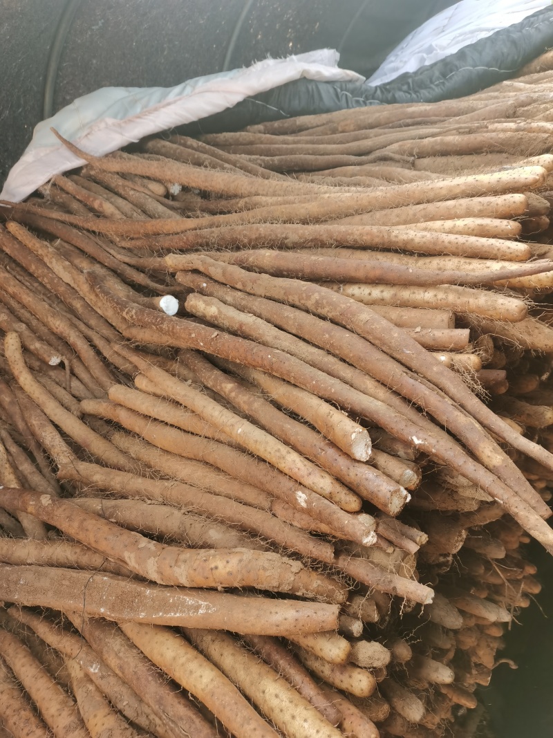 白玉二货