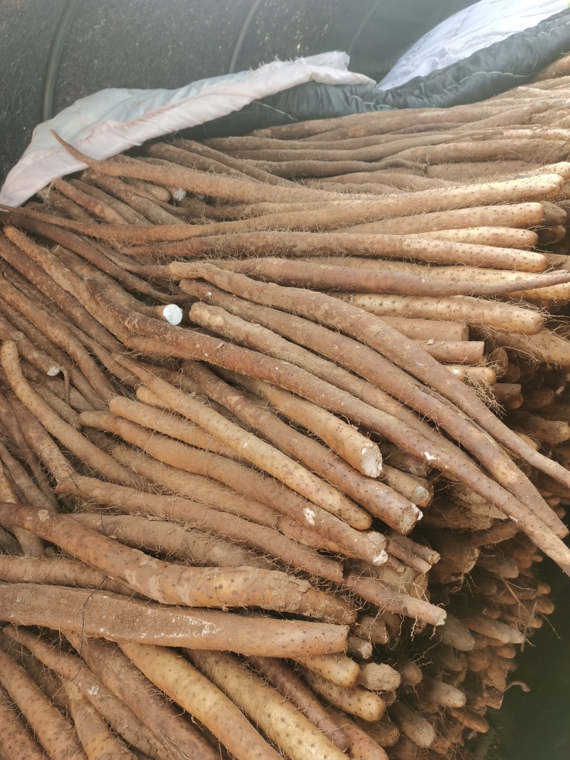 白玉二货