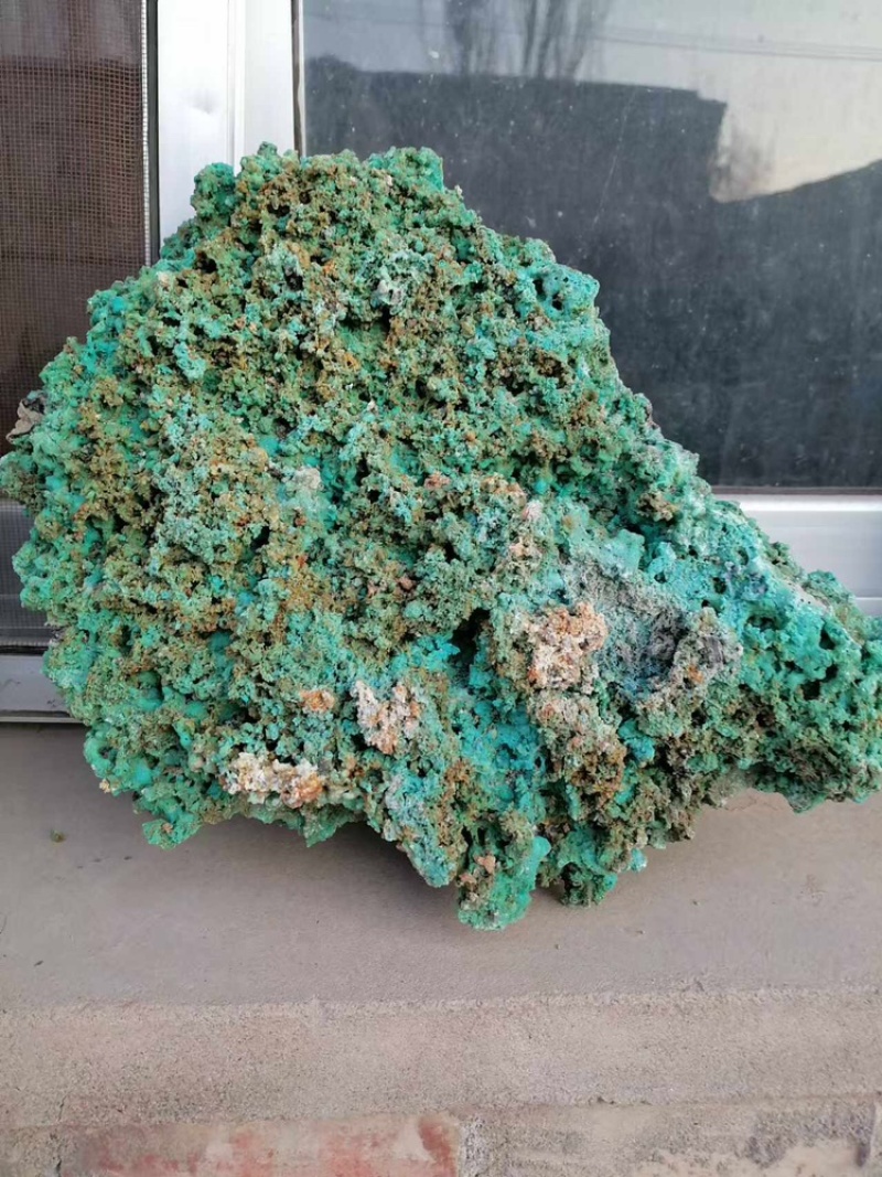 蓬灰产地直发品质保证一手货源服务周到