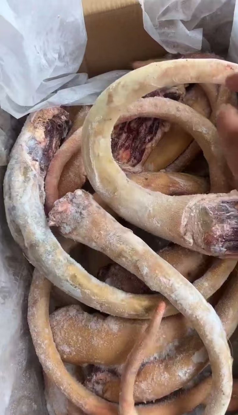 带皮牛尾