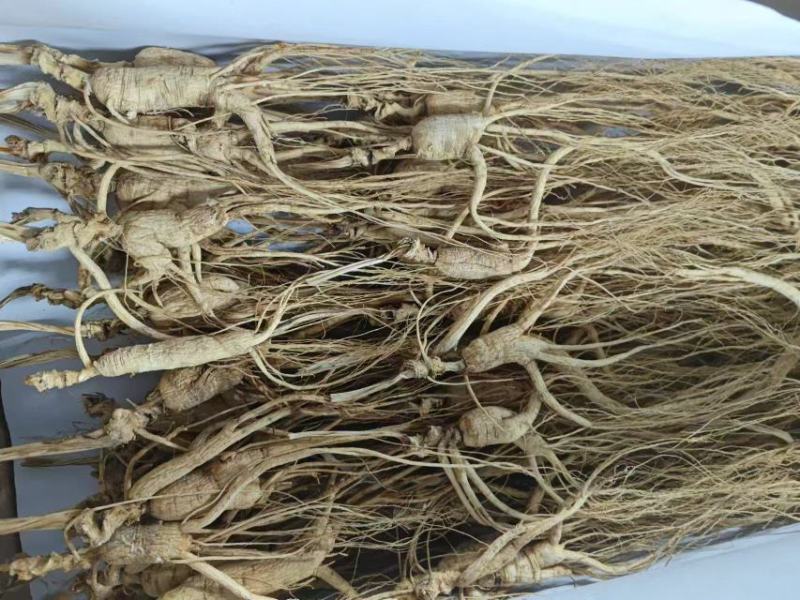 长白山高年头林下参，品质保证，价格优惠，售后无忧