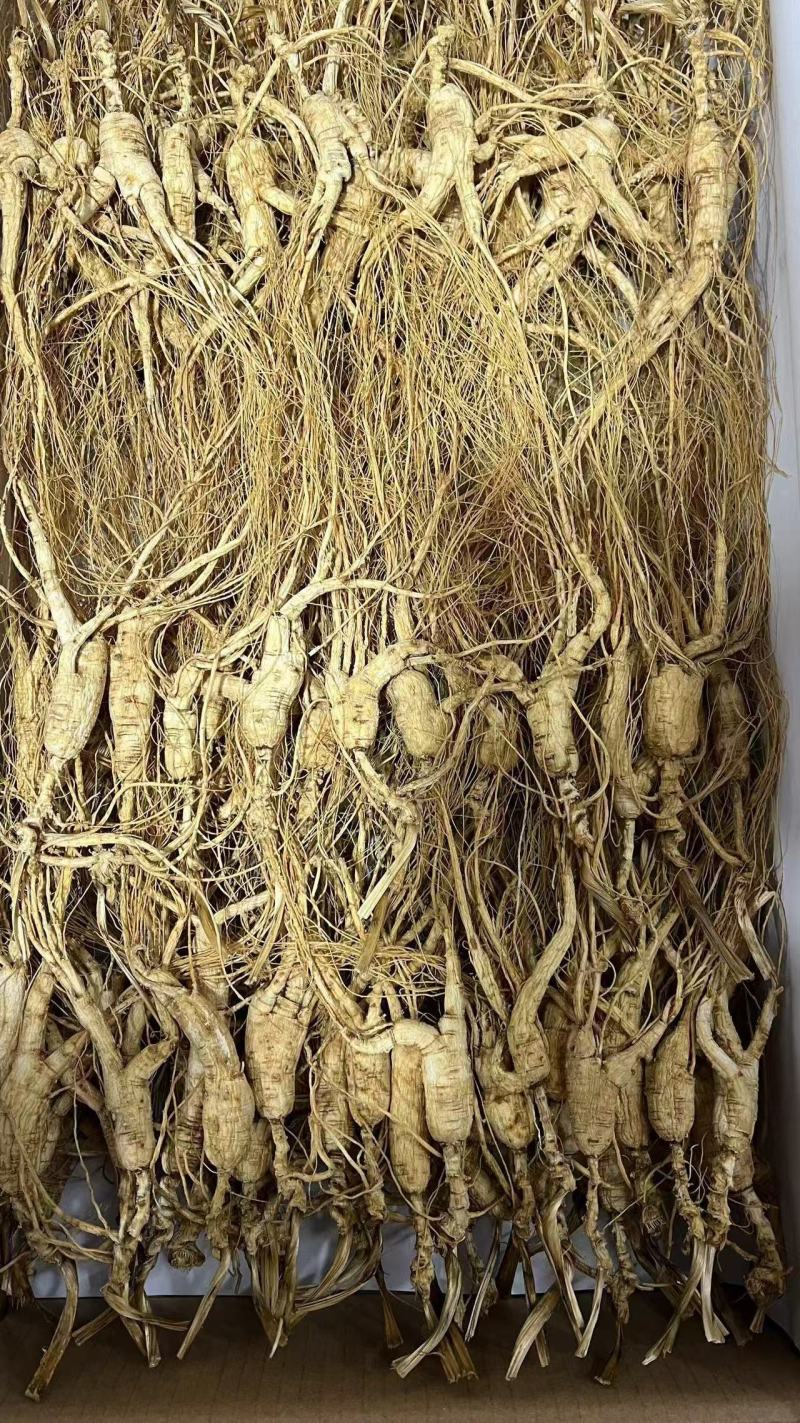 长白山高年头林下参，品质保证，价格优惠，售后无忧