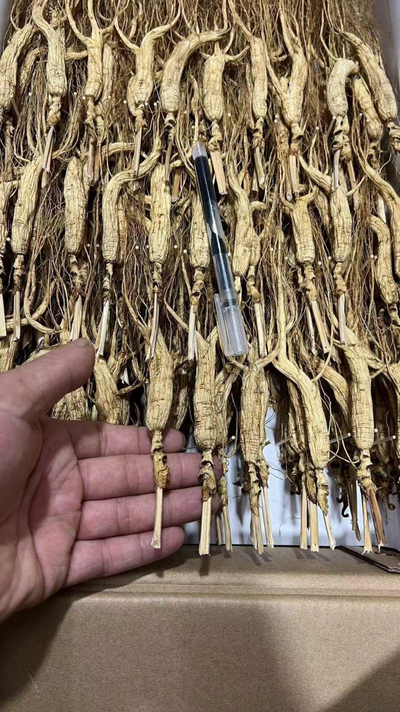 长白山高年头林下参，品质保证，价格优惠，售后无忧