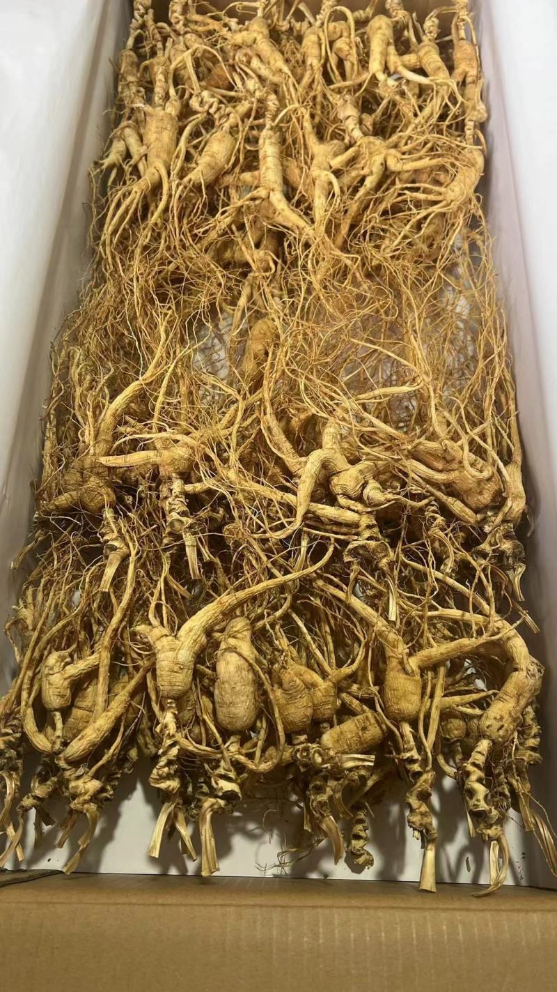 长白山高年头林下参，品质保证，价格优惠，售后无忧
