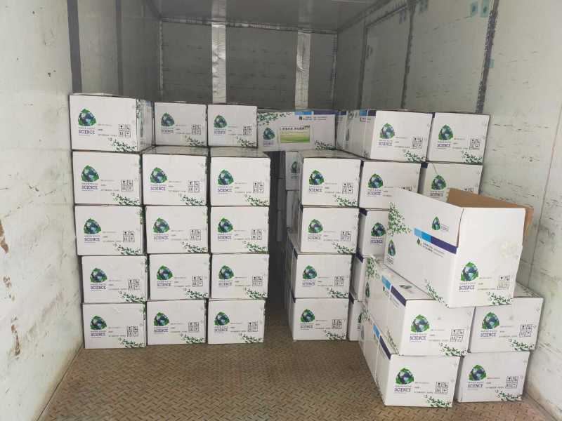 复合芽孢杆菌枯草芽孢杆菌地衣芽孢杆菌解淀粉芽孢杆