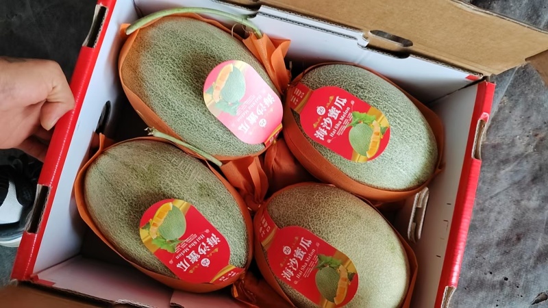 海南哈密瓜大量供货，晓蜜25网纹瓜，到明年6月，随行就市