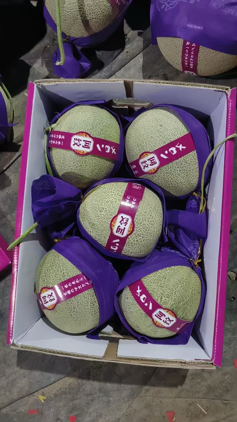 海南哈密瓜大量供货，晓蜜25网纹瓜，到明年6月，随行就市