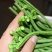 绿江南豆角种子无鼠尾结荚多厚肉豇豆耐高温长豆角泡豇豆春夏