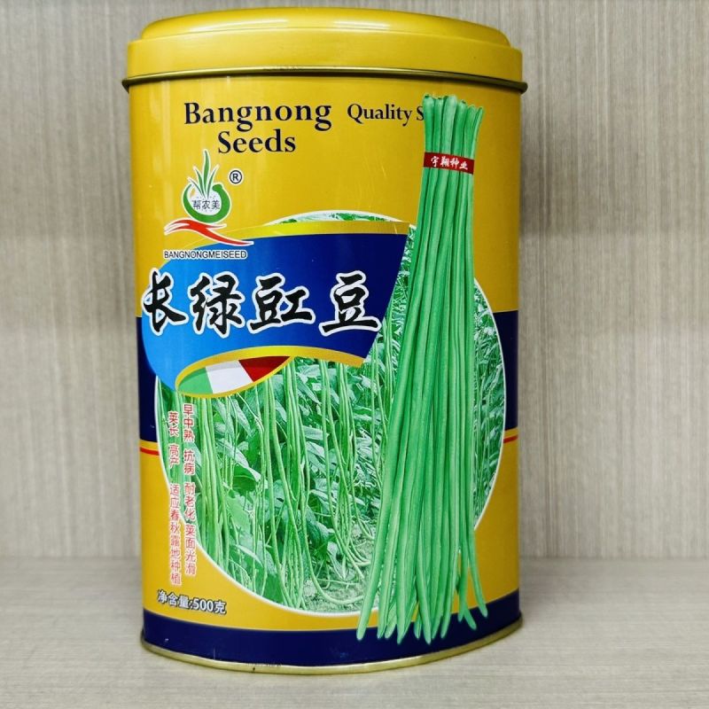 长绿豇豆长豆角种子早熟杂交翠绿豇豆种籽不鼓籽无鼠尾大棚露