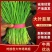 韭菜基地直供货源充足一手货源保质保量诚信经营