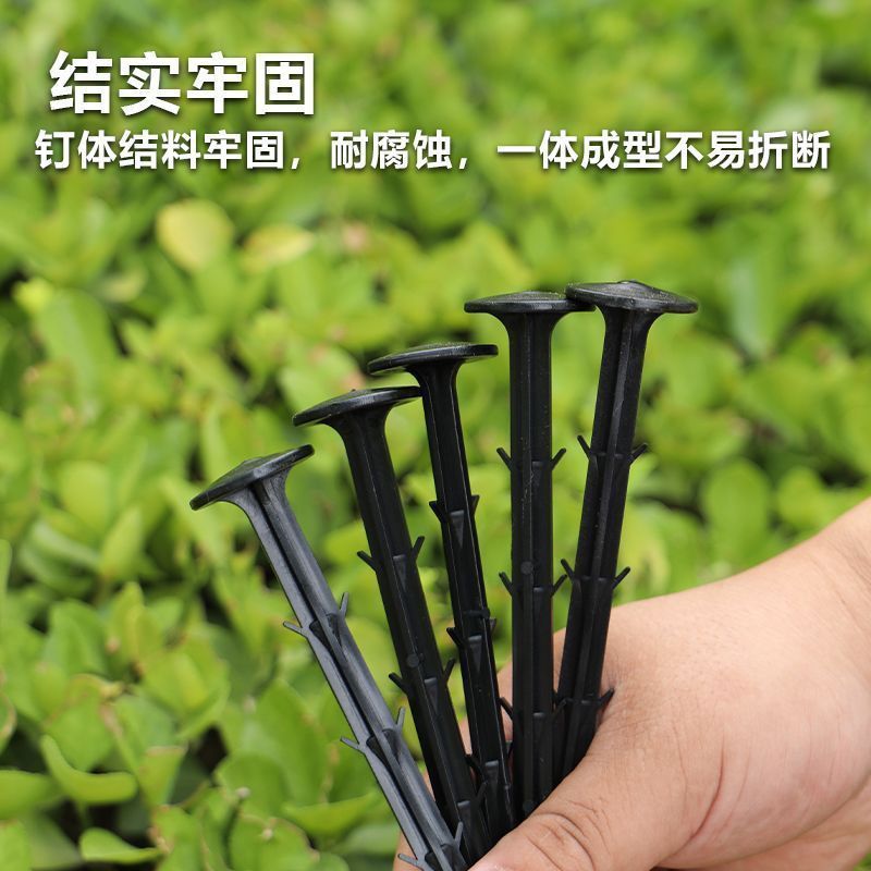 防草布地钉大棚遮阳网除草地膜果园拉枝地钉园艺固定钉塑料地