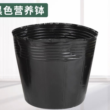18×16营养钵育苗杯