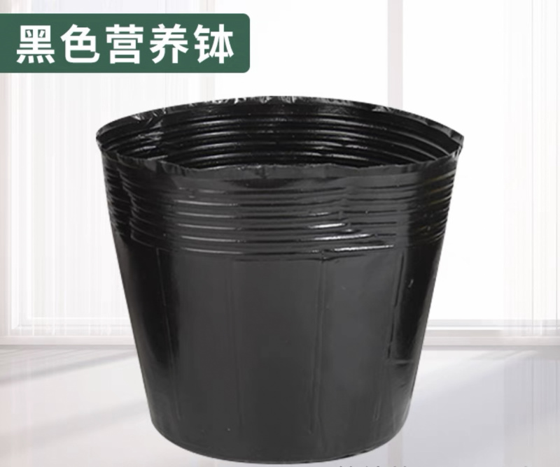 18×16营养钵育苗杯