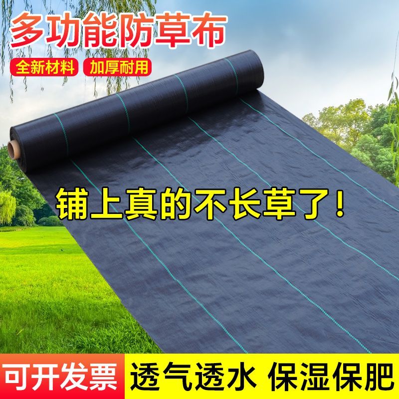 防草布园艺地布果园果树打孔切片除草布透气透水盖草抑草布防
