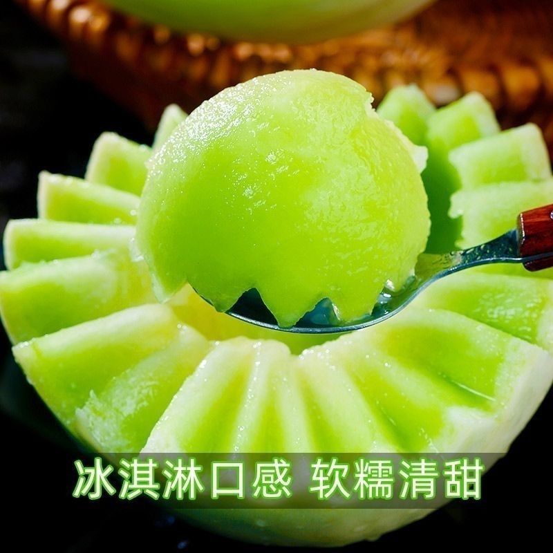 冰糖玉菇甜瓜种子薄皮杂交甜瓜种籽早熟抗病白皮绿肉质脆基地