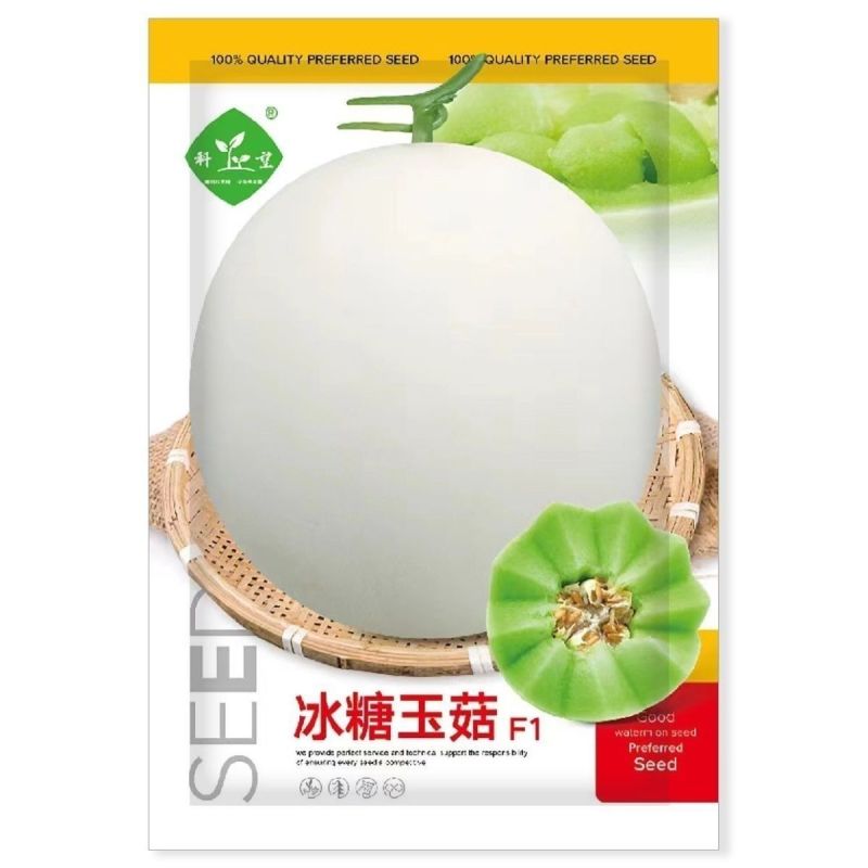 冰糖玉菇甜瓜种子薄皮杂交甜瓜种籽早熟抗病白皮绿肉质脆基地