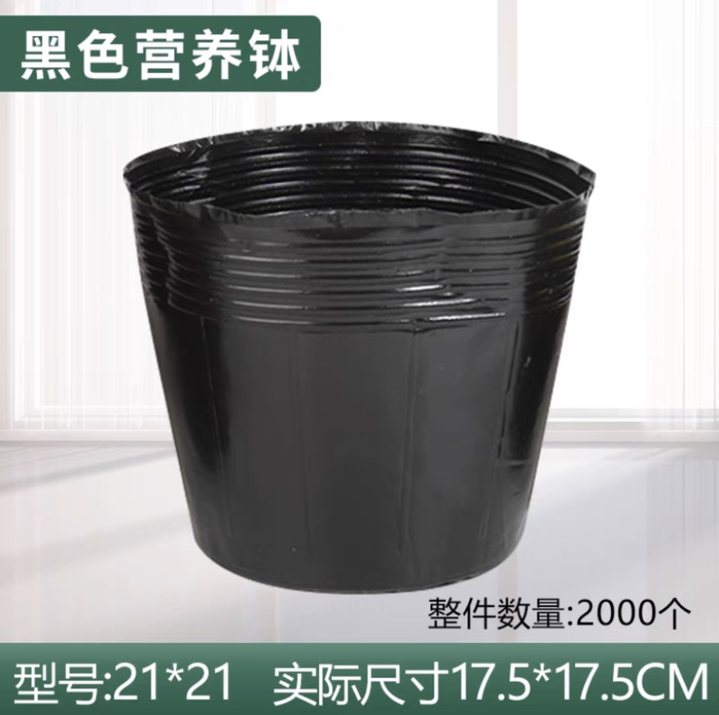 21×21营养钵，黑色加厚营养袋，一次性加厚育苗杯