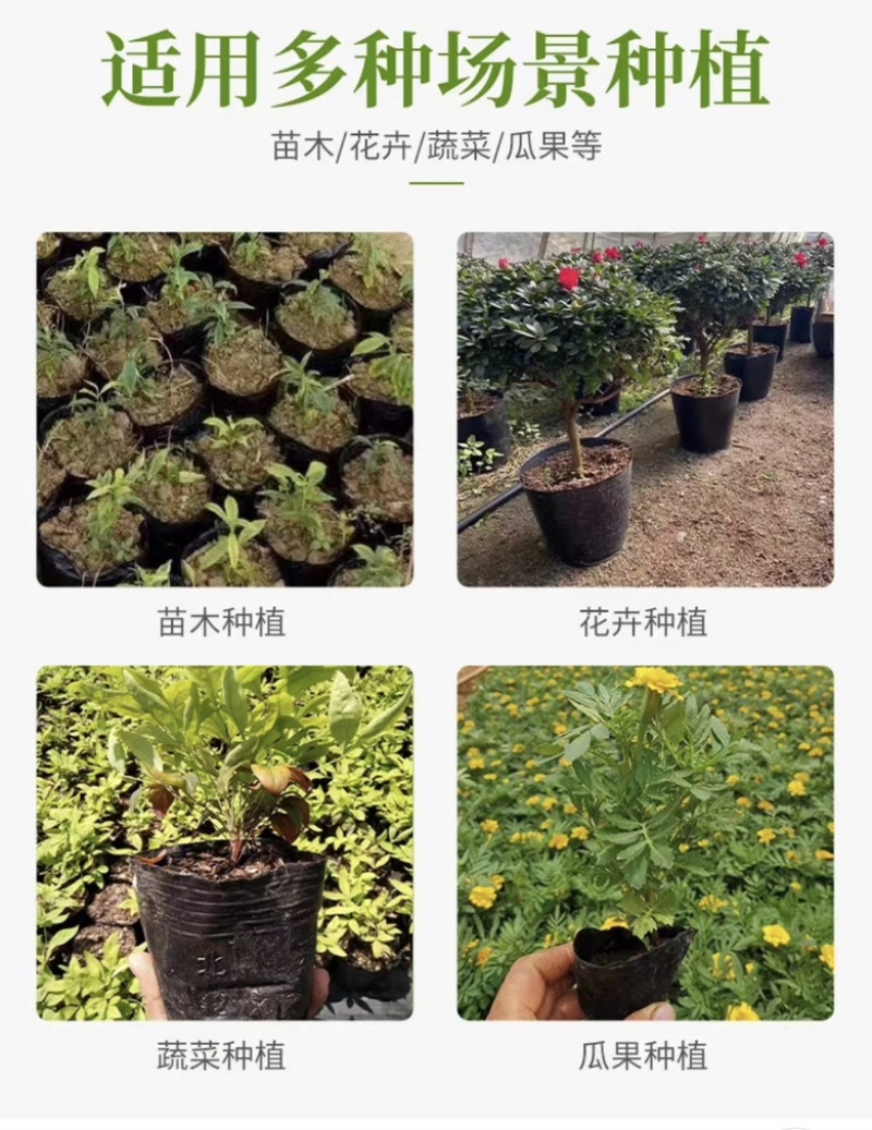 21×21营养钵，黑色加厚营养袋，一次性加厚育苗杯