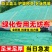 园林绿化无纺布绿色透气膜草坪防尘盖护边坡植草籽覆