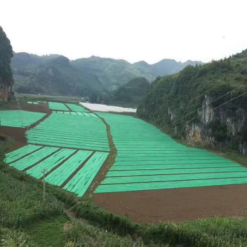 园林绿化无纺布绿色透气膜草坪防尘盖护边坡植草籽覆