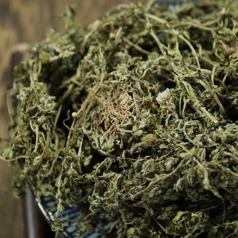 【鹅不食草】鹅不食草物美价廉量大从优