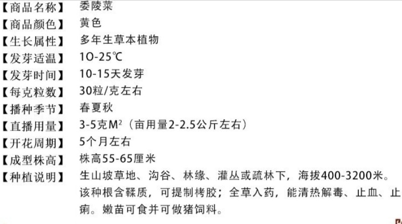 委陵菜厂家货源批发价格全国发货价格便宜欢迎下单咨询