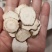【白芷】川白芷物美价廉产地直供量大从优统